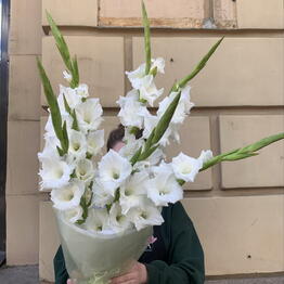 Эсперанса
