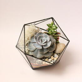 Glass Flowers