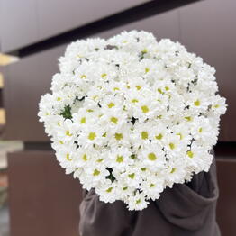 BTCFLOWERS