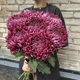 O’Fleurs