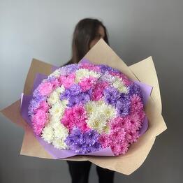 25 colored chrysanthemums in a package
