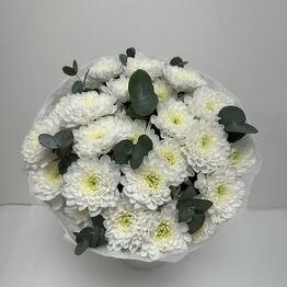 ЭкоРоза