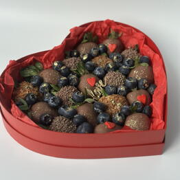 chocofruittmn