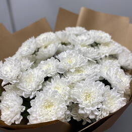 Nikuflowers