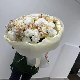  Роза ветров