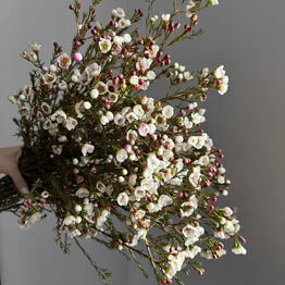 FLOWERSJOY