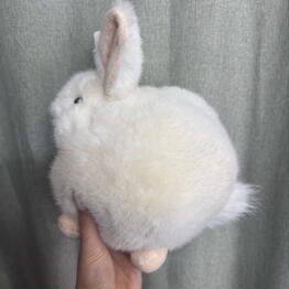 Каталея