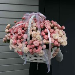 Amazing Flowers
