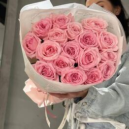 Camelia