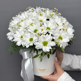 Композиция «Ромашки»