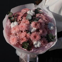 FloraDiscont