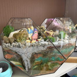 Studiya floristiki i dizayna «Ornament»