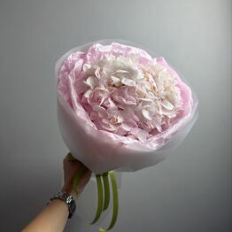 Volkova flowers