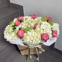 Flower Dream