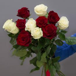 FLOREN