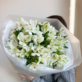 Leaves and Blooms