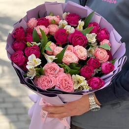 Tulpan flowers