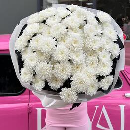 ROYAL FLOWERS TARAZ