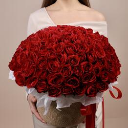 Cherniy Rycar