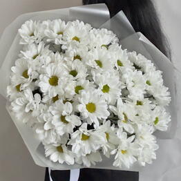 Flowa