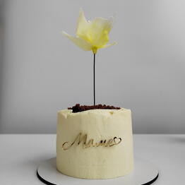 Pur.Pur.Cake