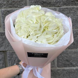 Volkova flowers