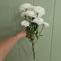 elite bouquet