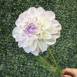Vero flower shop