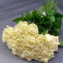 MOSFlovers