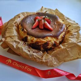Choko fox spb 