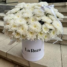 La Roza