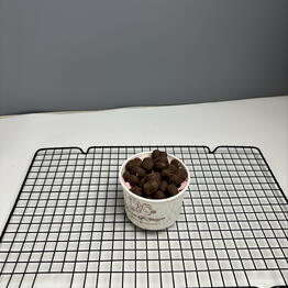 Ms’Choc x Ms’Blossom