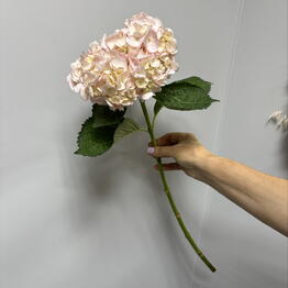 Flowery