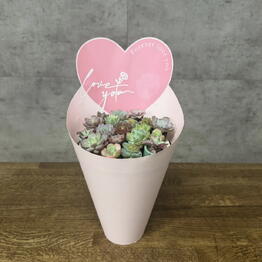 LuxuryPlants