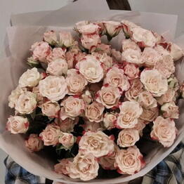 7 roz