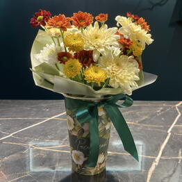NARCISSUS