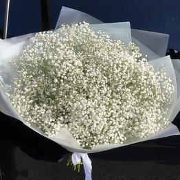 15 веточек гипсофилы