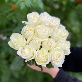 РозРозыч Лумумбы 