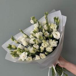 Hey, Flower!