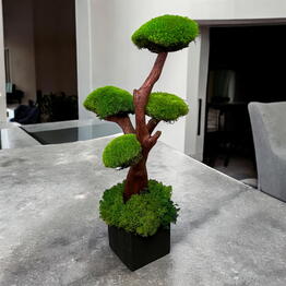  MossLaB