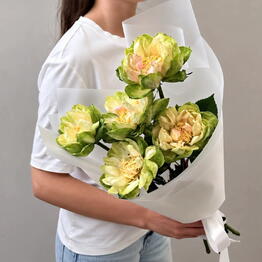 FLOR2U