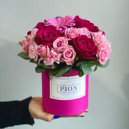 Pion Art And Flowers