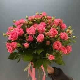 Rose Vetrov