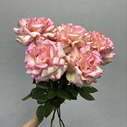 Город Цветов Самбурова
