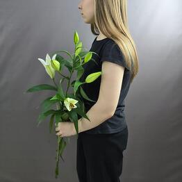 Роза Лэнд