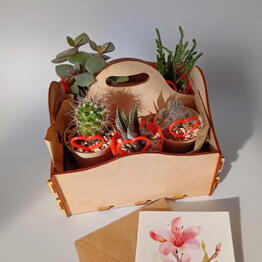 Flora Decor