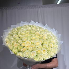 Raz Flover