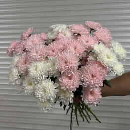 Диflowers
