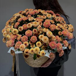 Aura Bloom