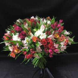 M. Flower